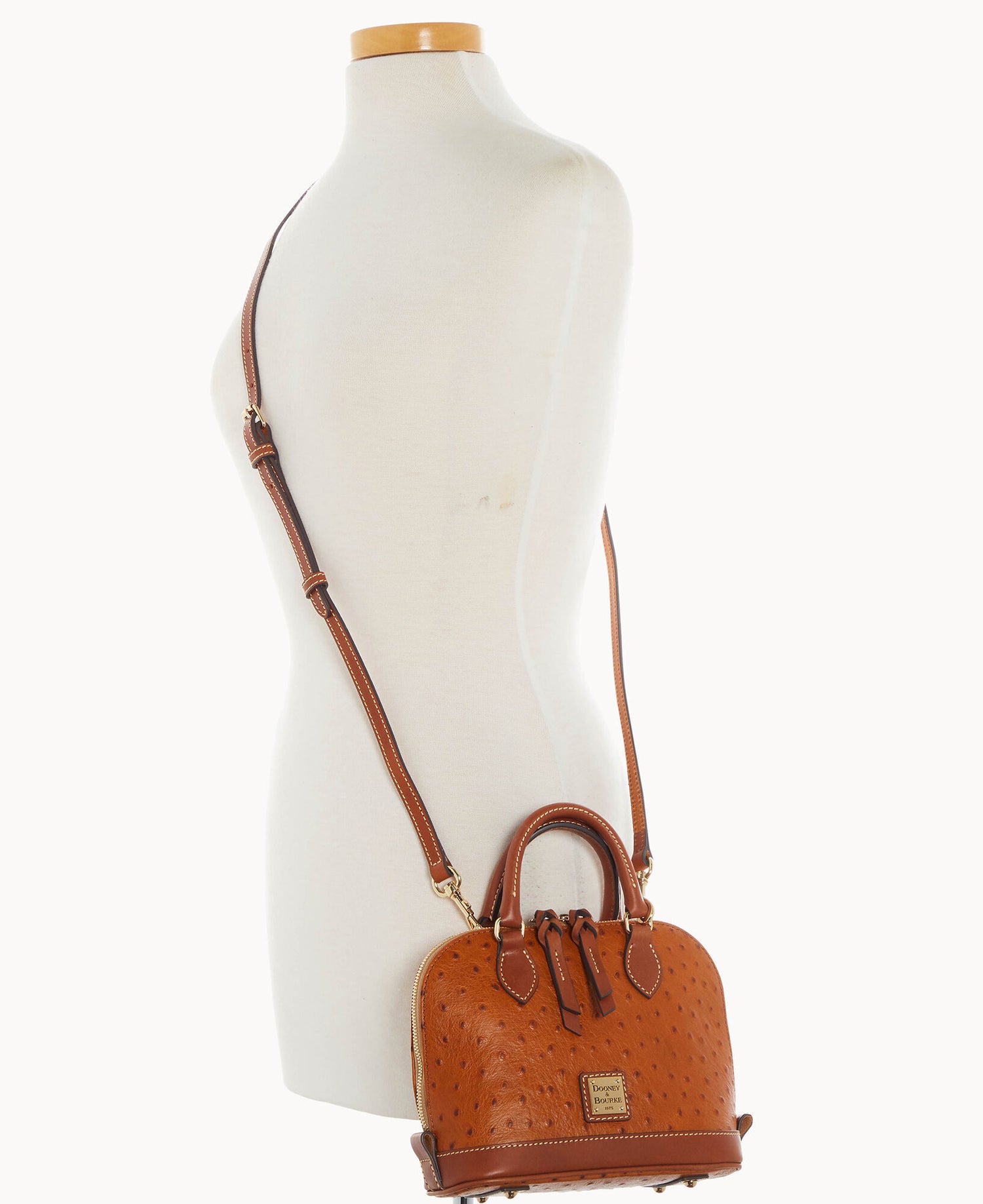 B1322G_OTCAPAKR_ALT4