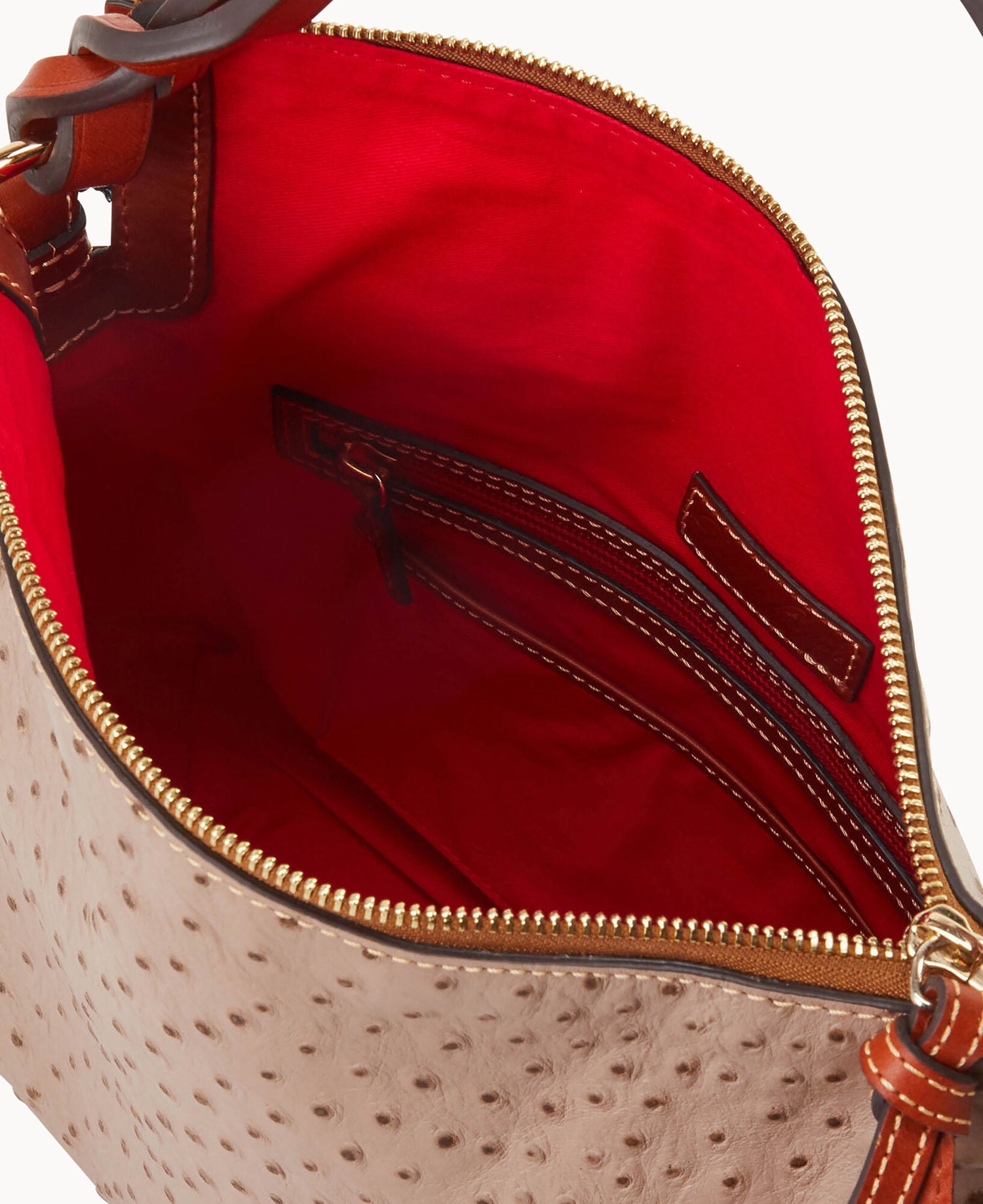 B1540G_OTXDPATN_ALT2