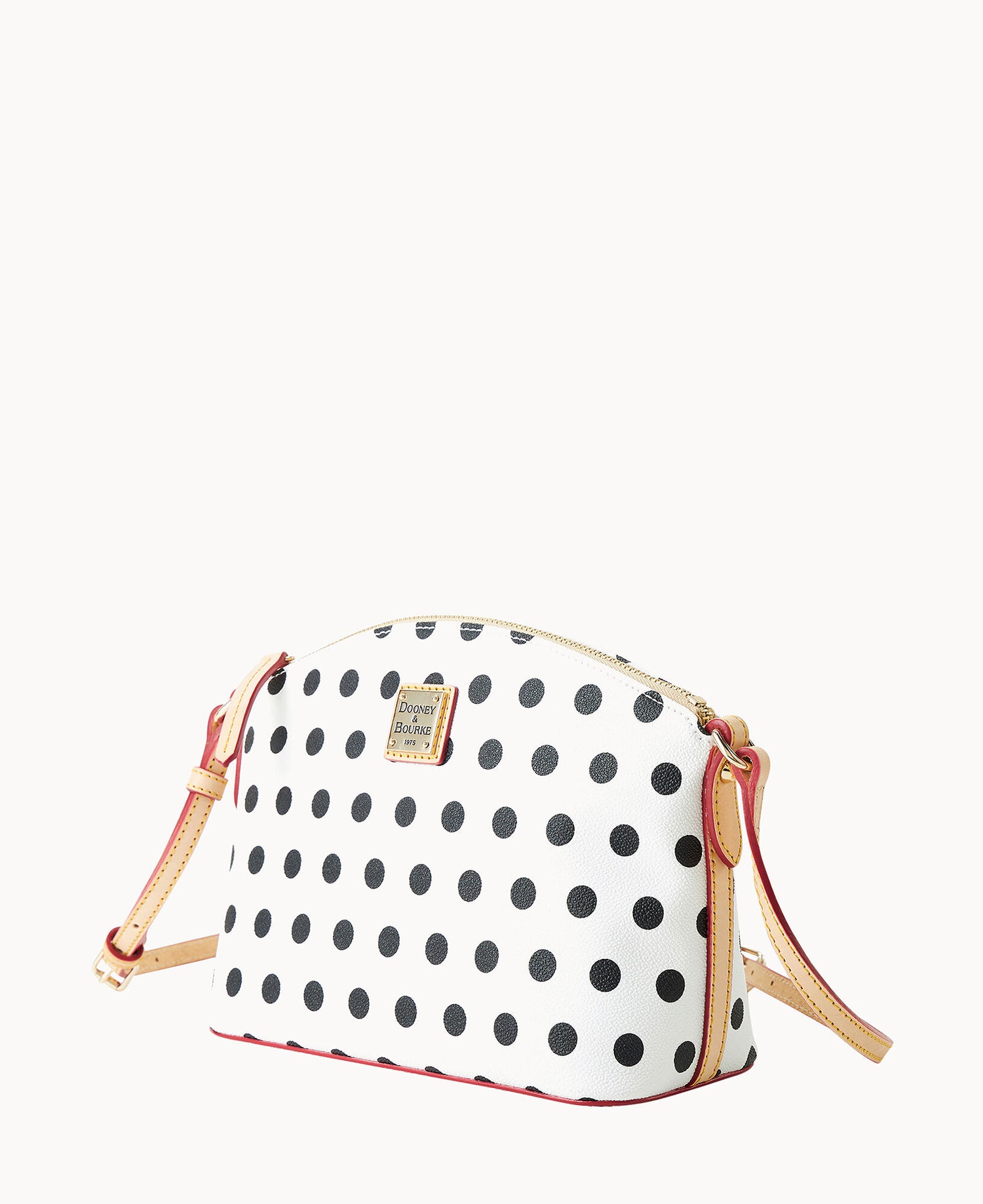 B1696G_PK4YSVNA_ALT1