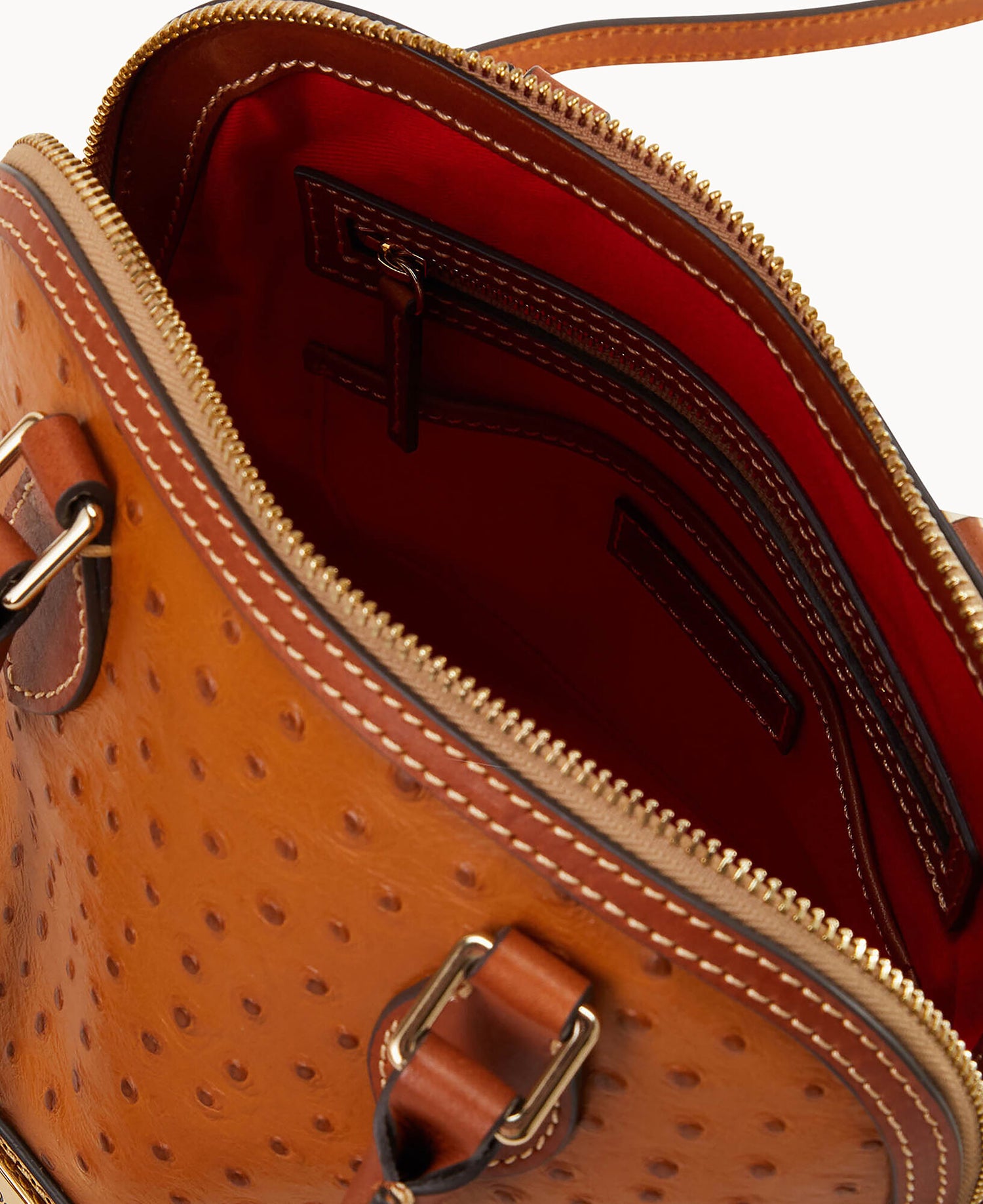 B2287G_OTCAPAKR_ALT2