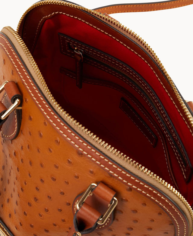 B2287G_OTCAPAKR_ALT2