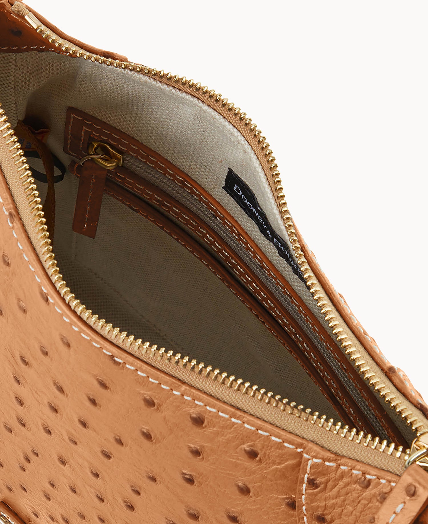 B2317G_OTAROTAR_ALT2