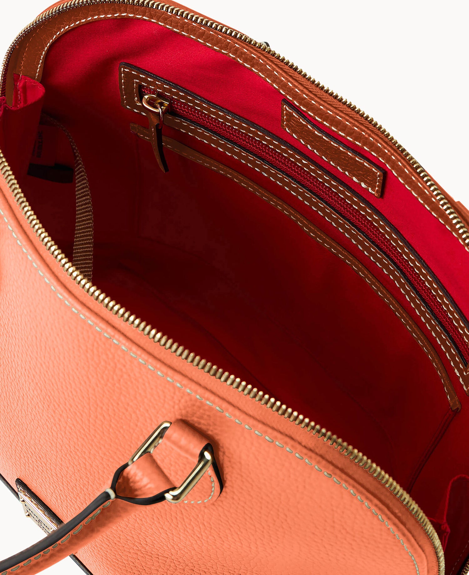 B2343G_LTCELTCEPEBL_ALT2