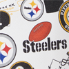 NFL Steelers Small Drawstring